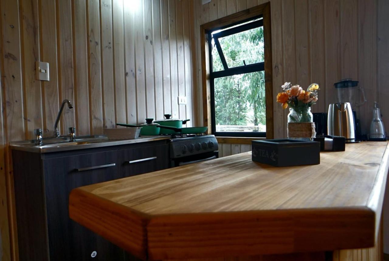 Cabana Los Coihues Apartment Puerto Montt Ngoại thất bức ảnh